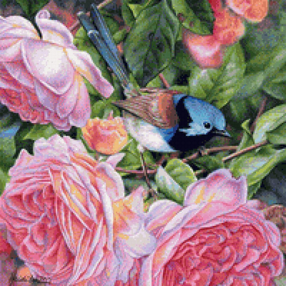 Хайди Уиллис (Heidi Willis).