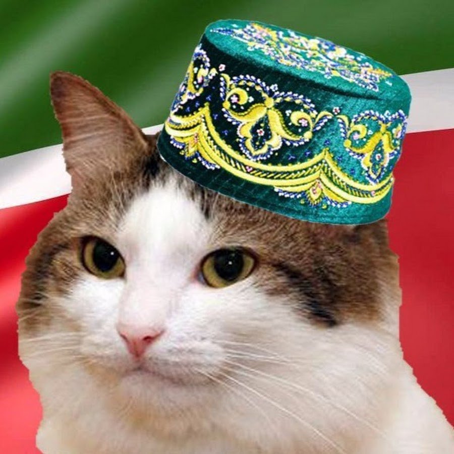 Кот в тюбетейке