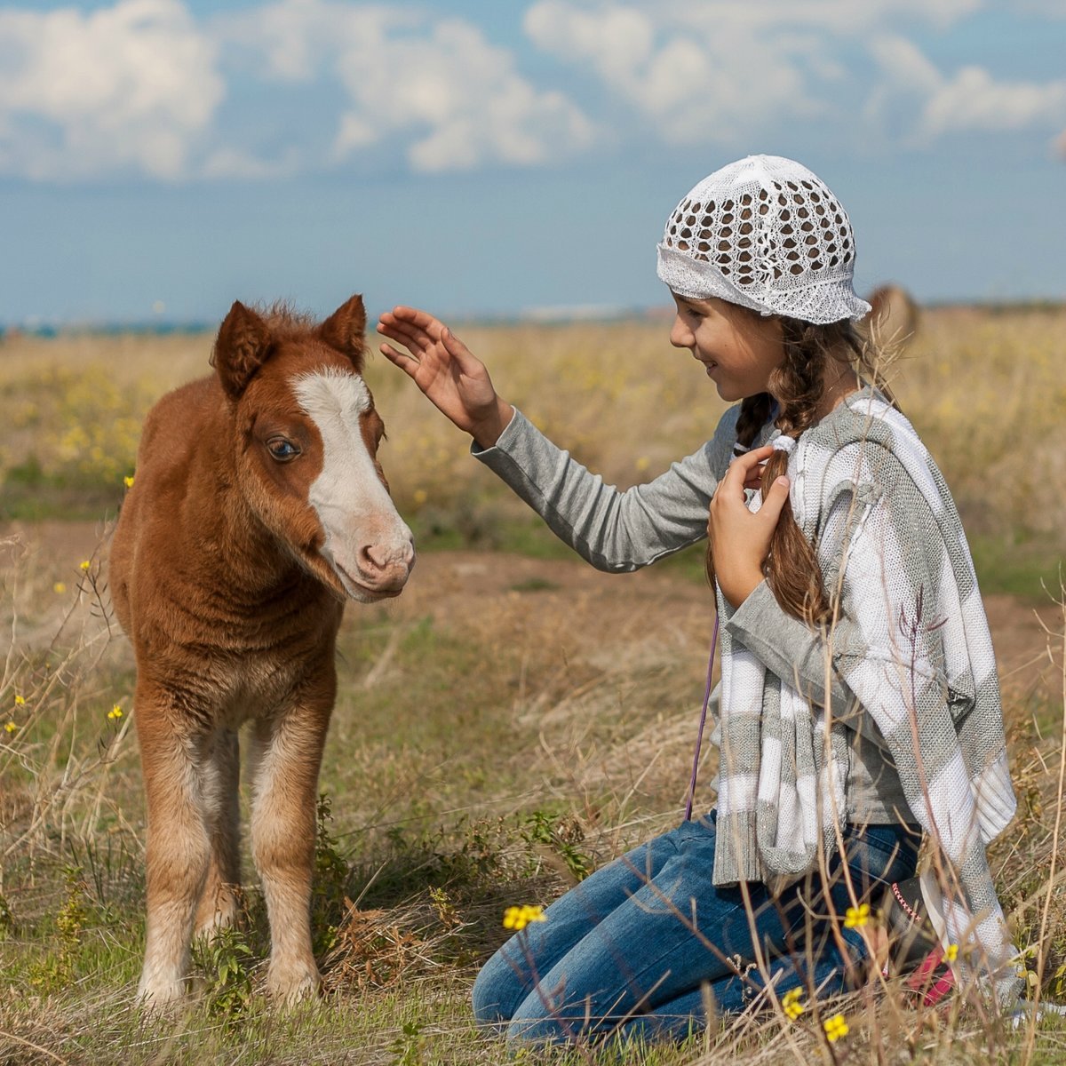 Единство лошади и человека