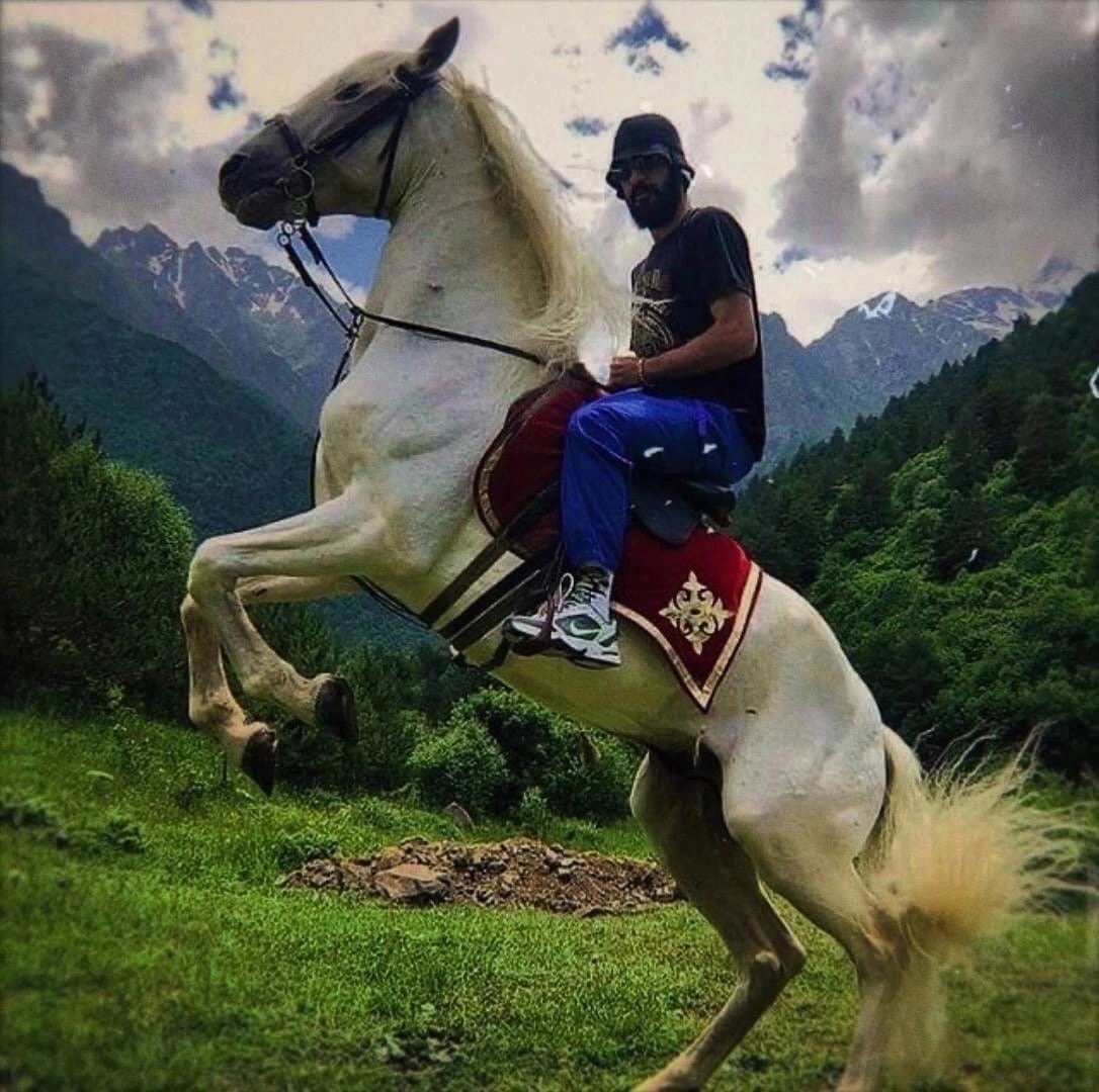 Мияги на коне