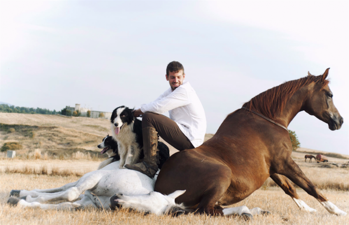 Лошадь и человек Дружба