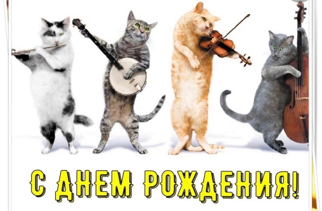 Танцующий кот
