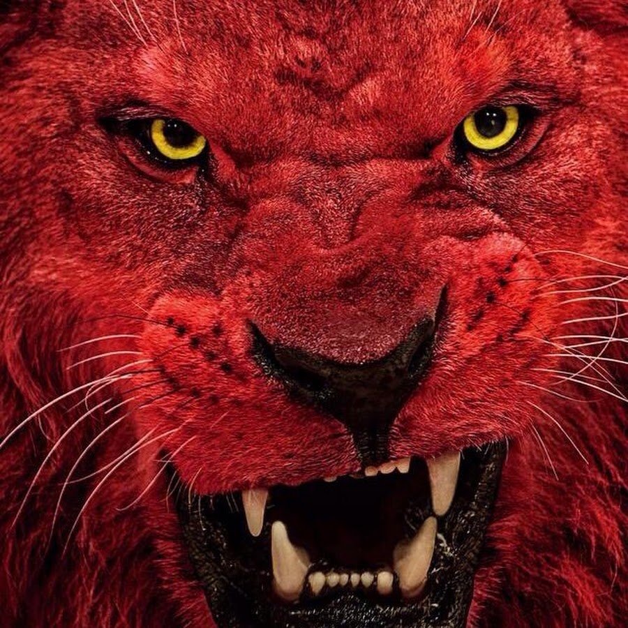 Фильм про Львов людоедов призрак и тьма