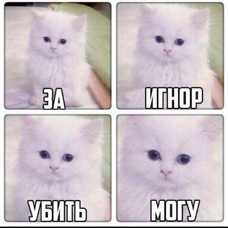 Много котов арт