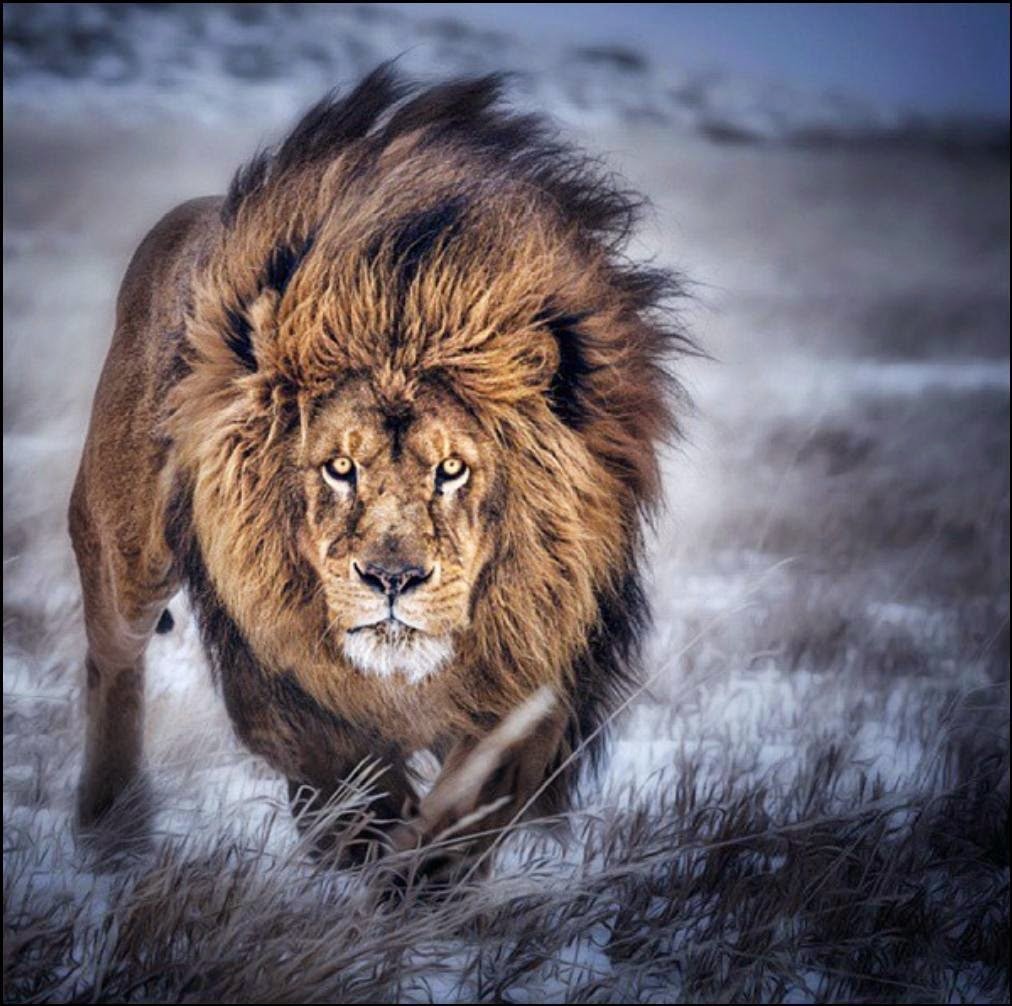 Сила спокойствия