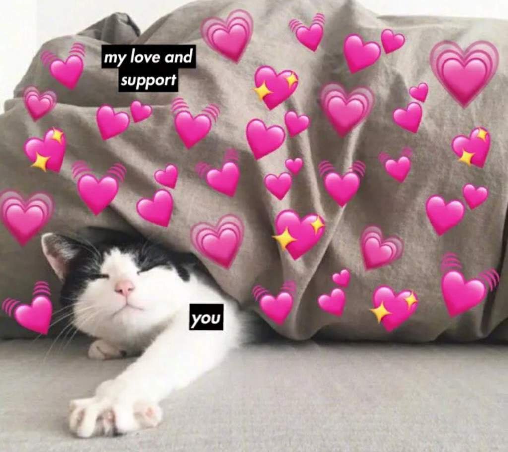 Милый котик Эстетика