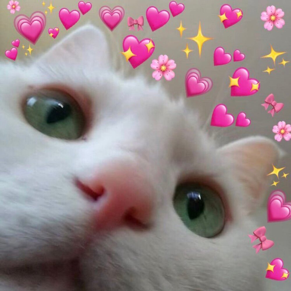 Я блин скучаю