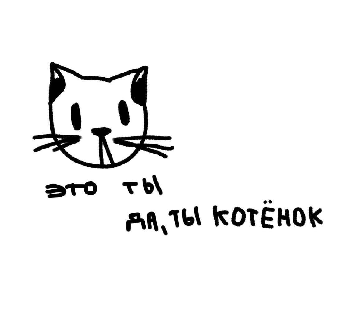 Мемы с милыми котиками с надписями