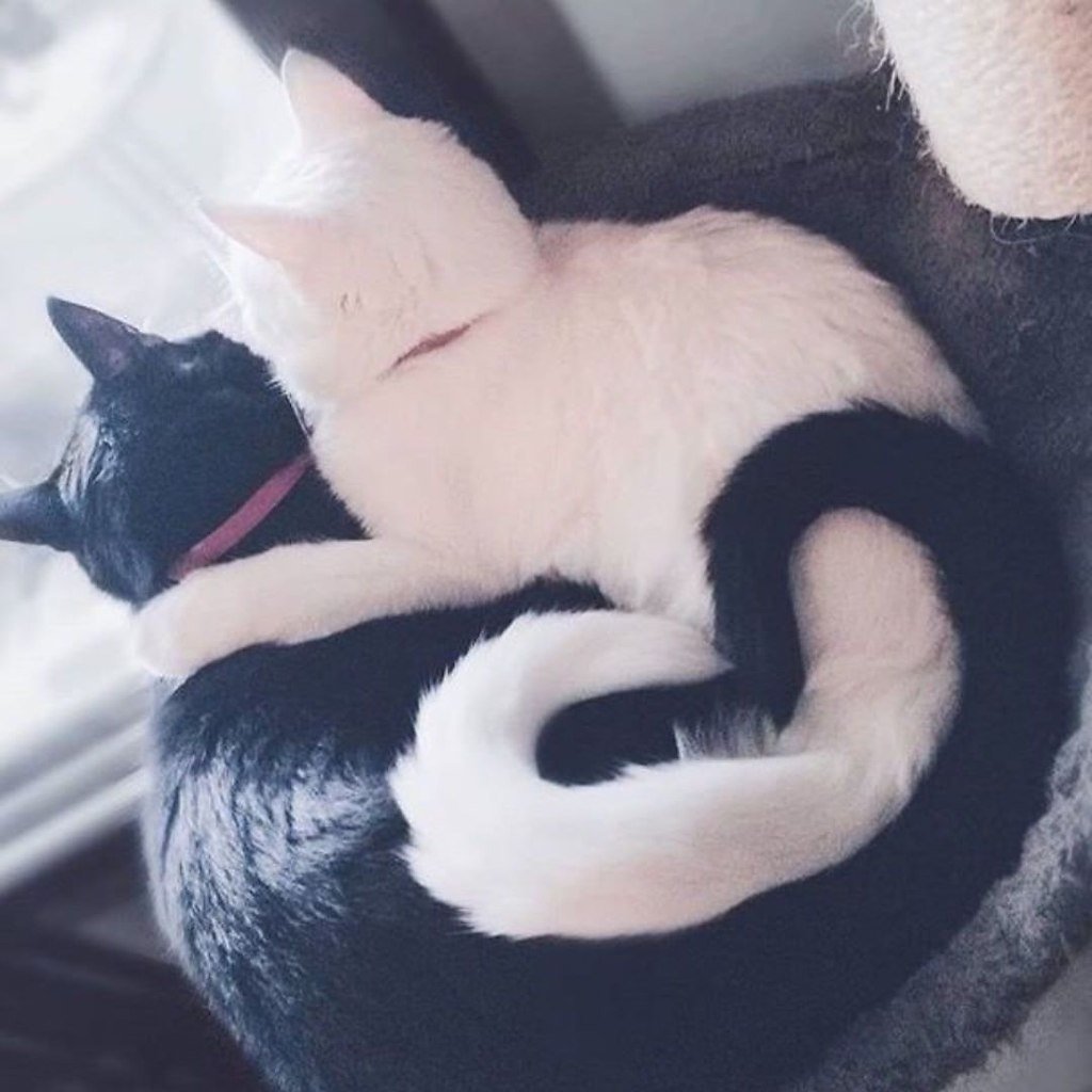 Милые пикчи с надписями