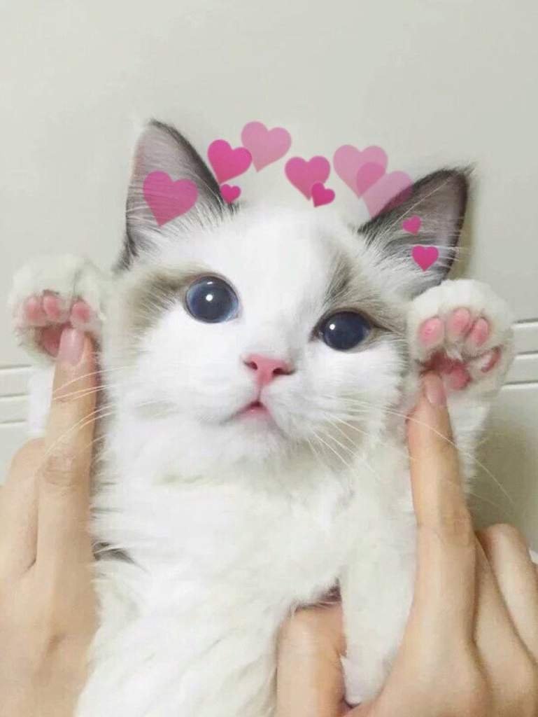 Милые пикчи с надписями