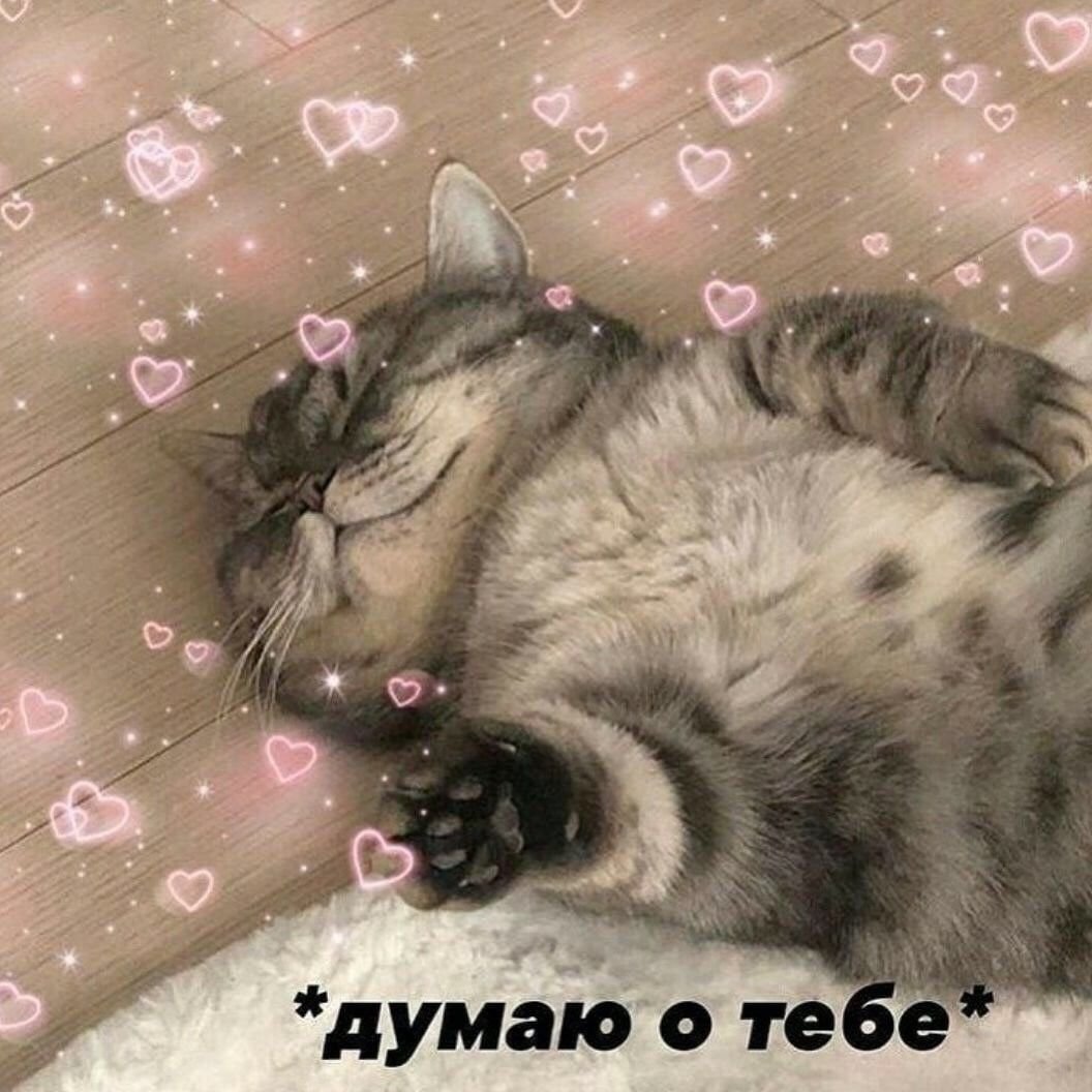 Кот с сердечками и радугой