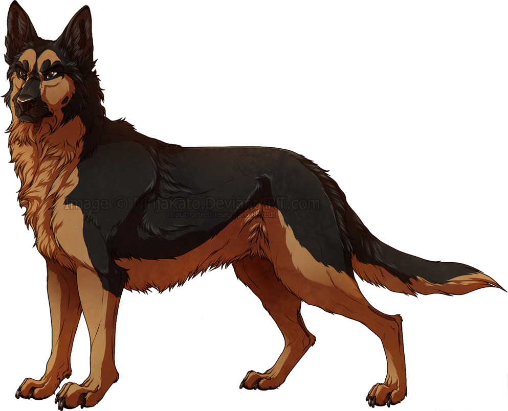 Беременная овчарка