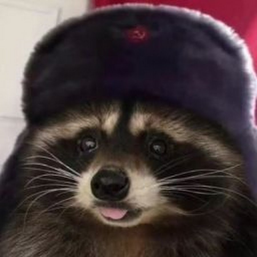 Цитаты на Красном фоне