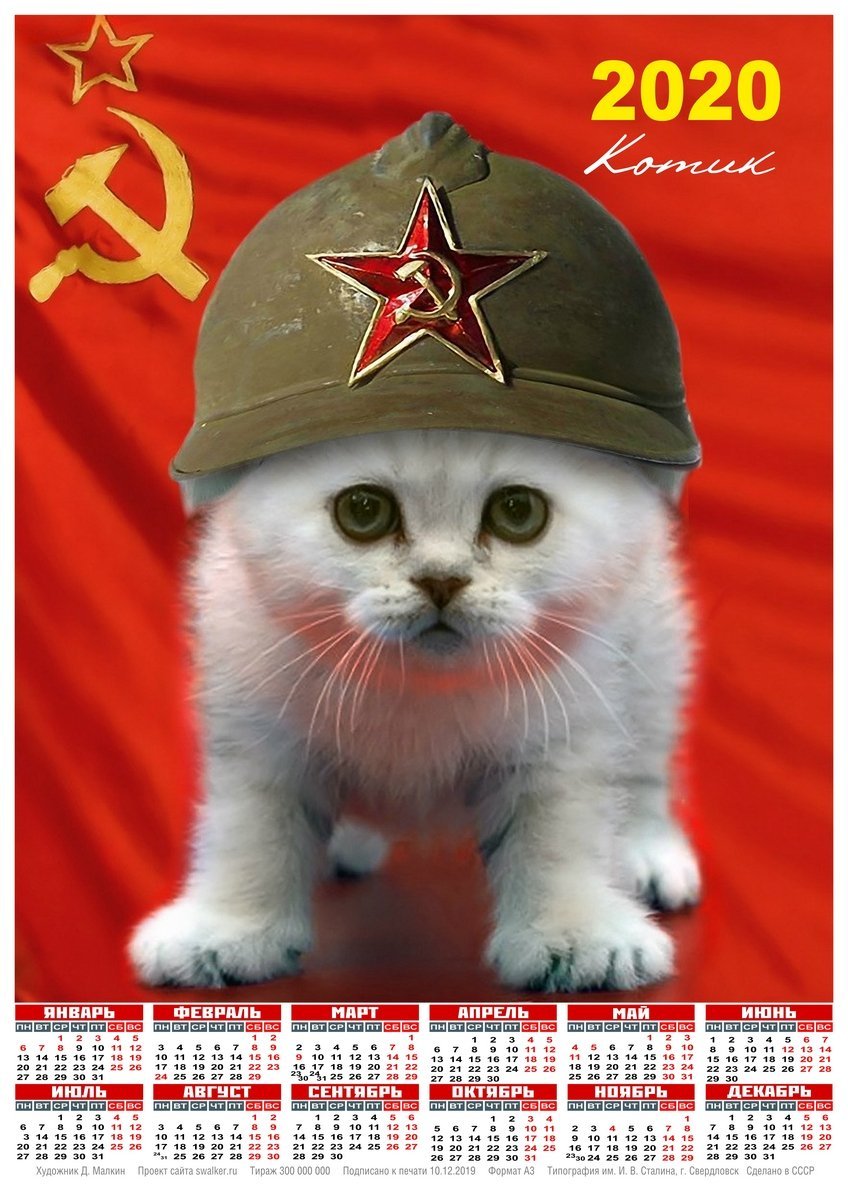 Революционный кот