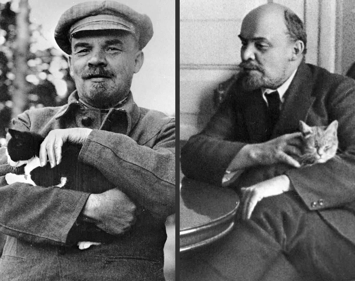Владимир Ленин с котом