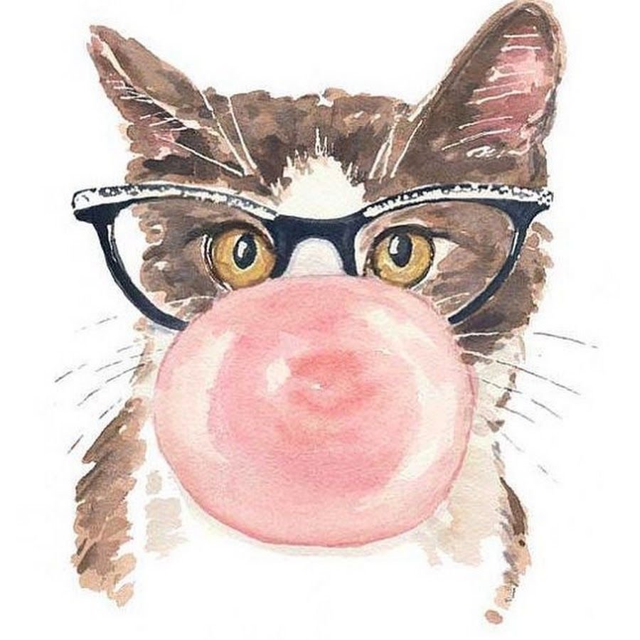 С днем рождения кот