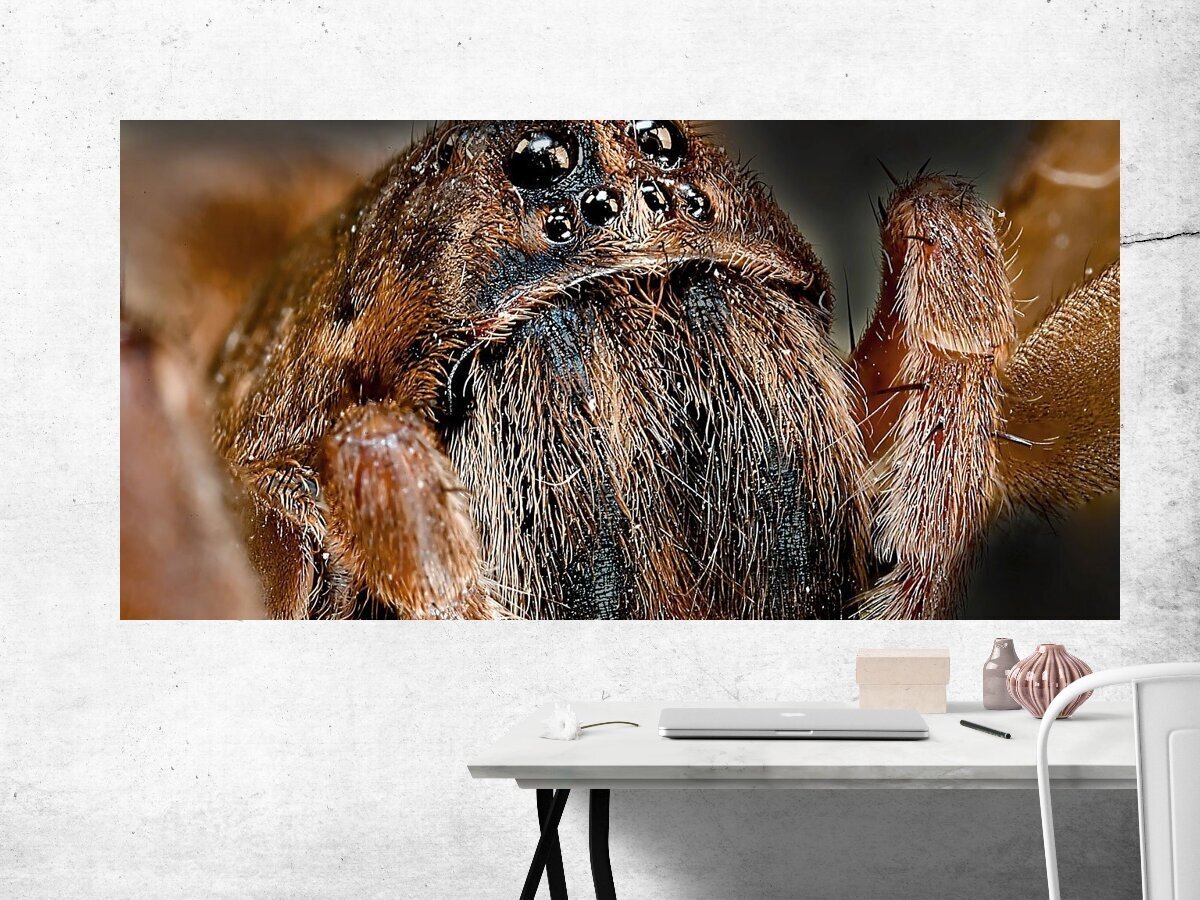 Богомолы на Бали