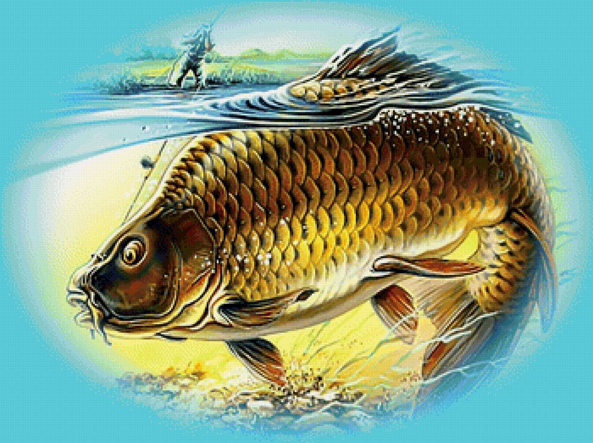 Смешные морские обитатели