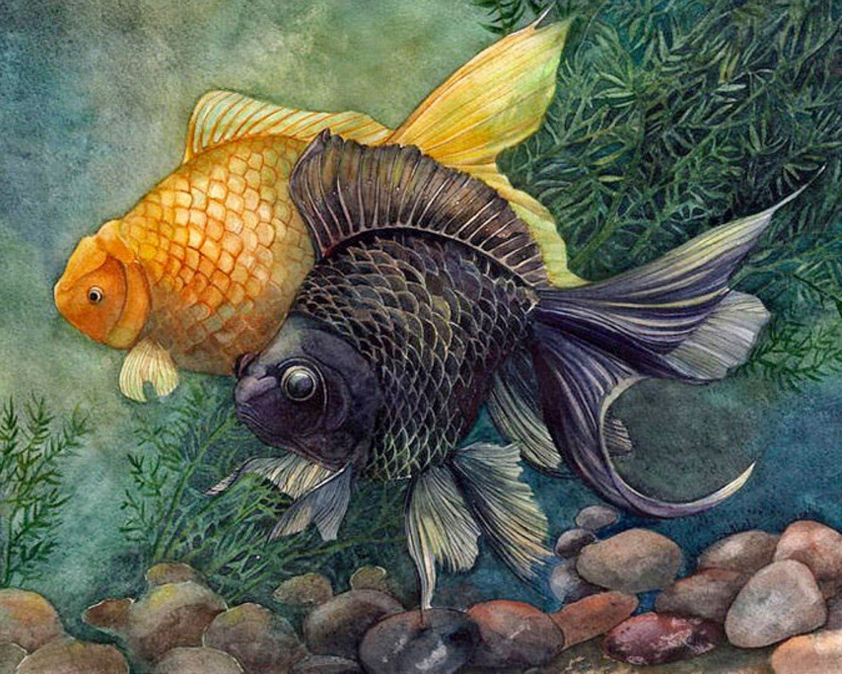 Тетрадон морской