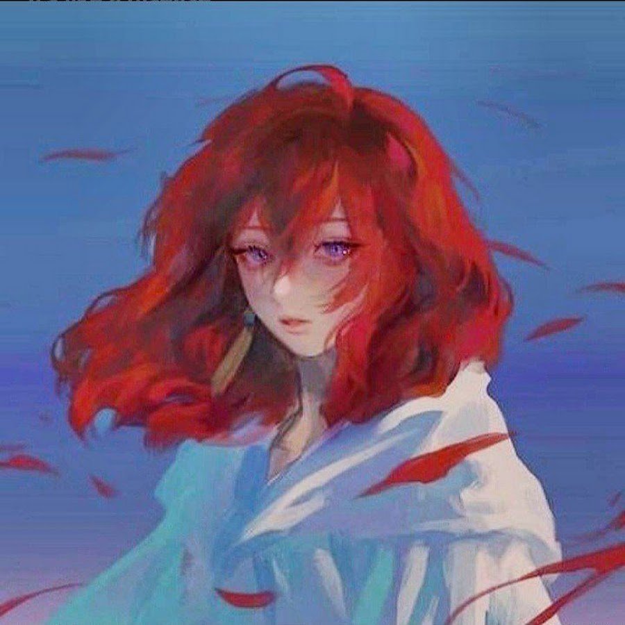 Шотландская Золотая шиншилла