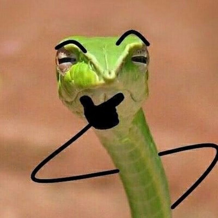 Смешные змеи