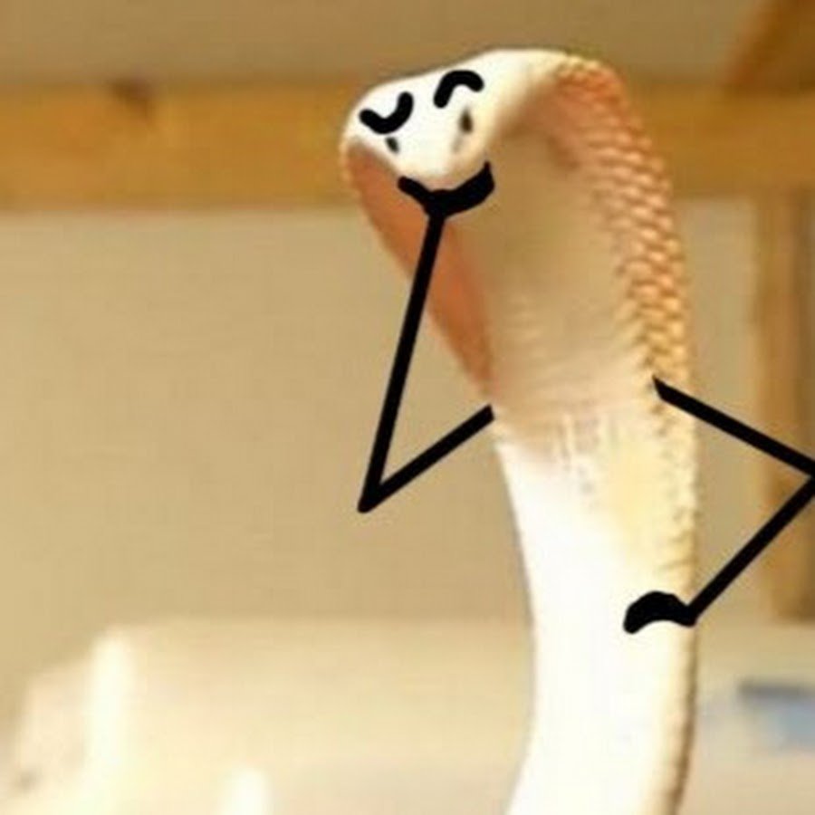 Динозавр похожий на ящерицу