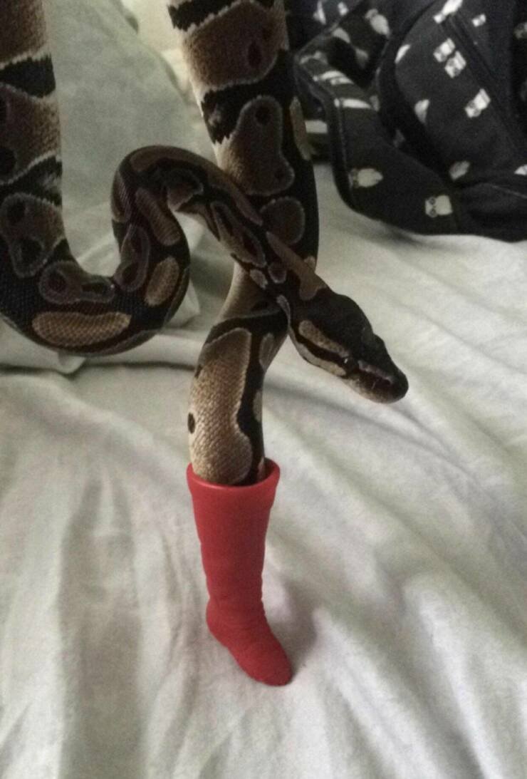 Змеи с ручками