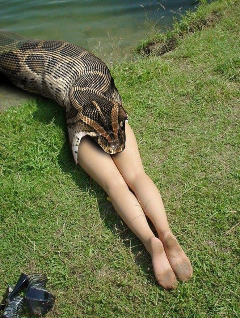 Анаконда питон и женщина Vore. Девушка змея. Фотосессия со змеей. Змеи в жопах девушек