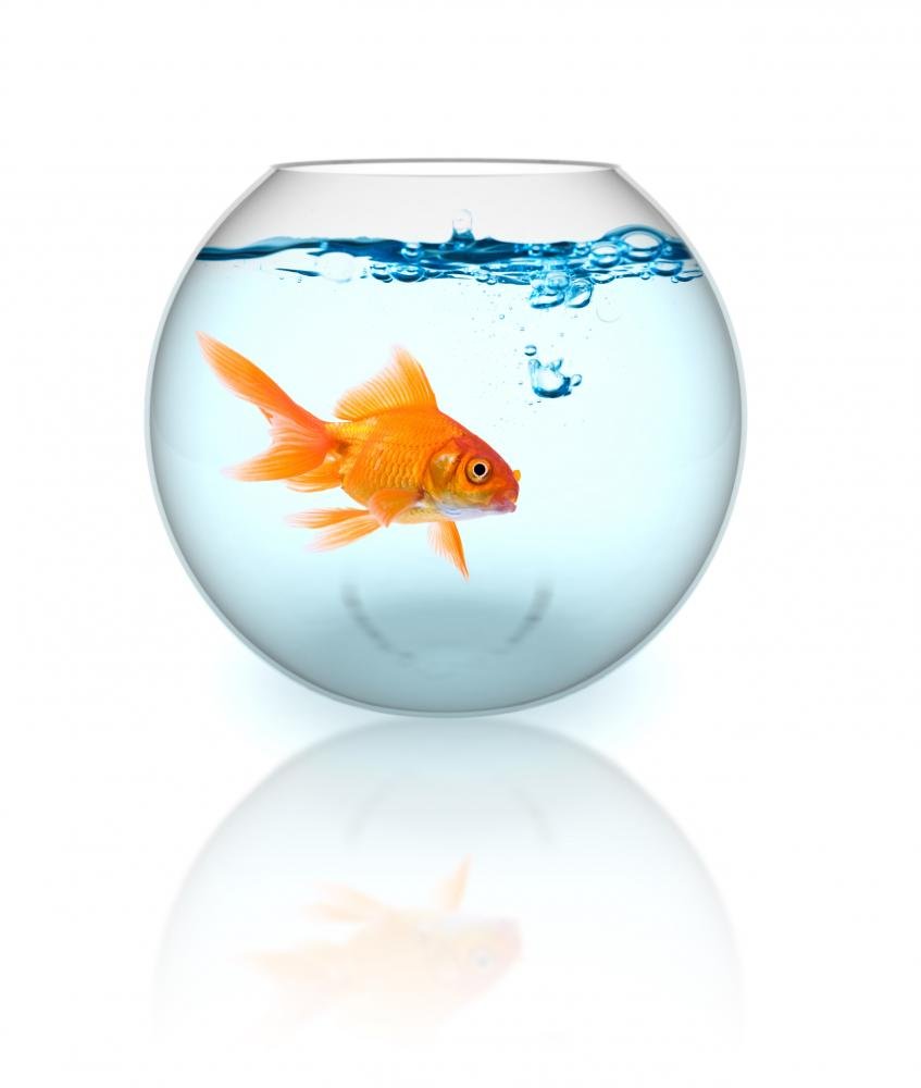 Аквариум Tetra Betta Ring 1,8л