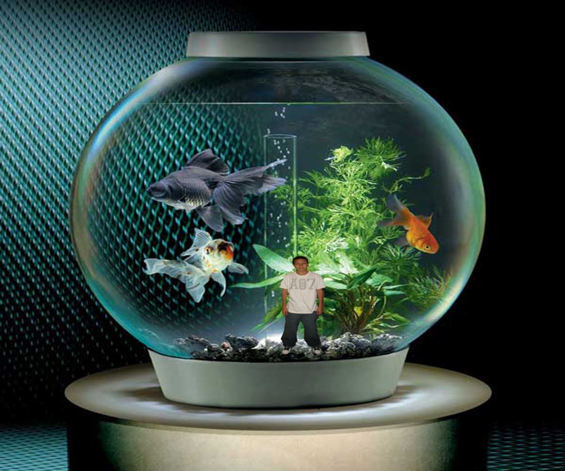 Необычный домик для рыбки