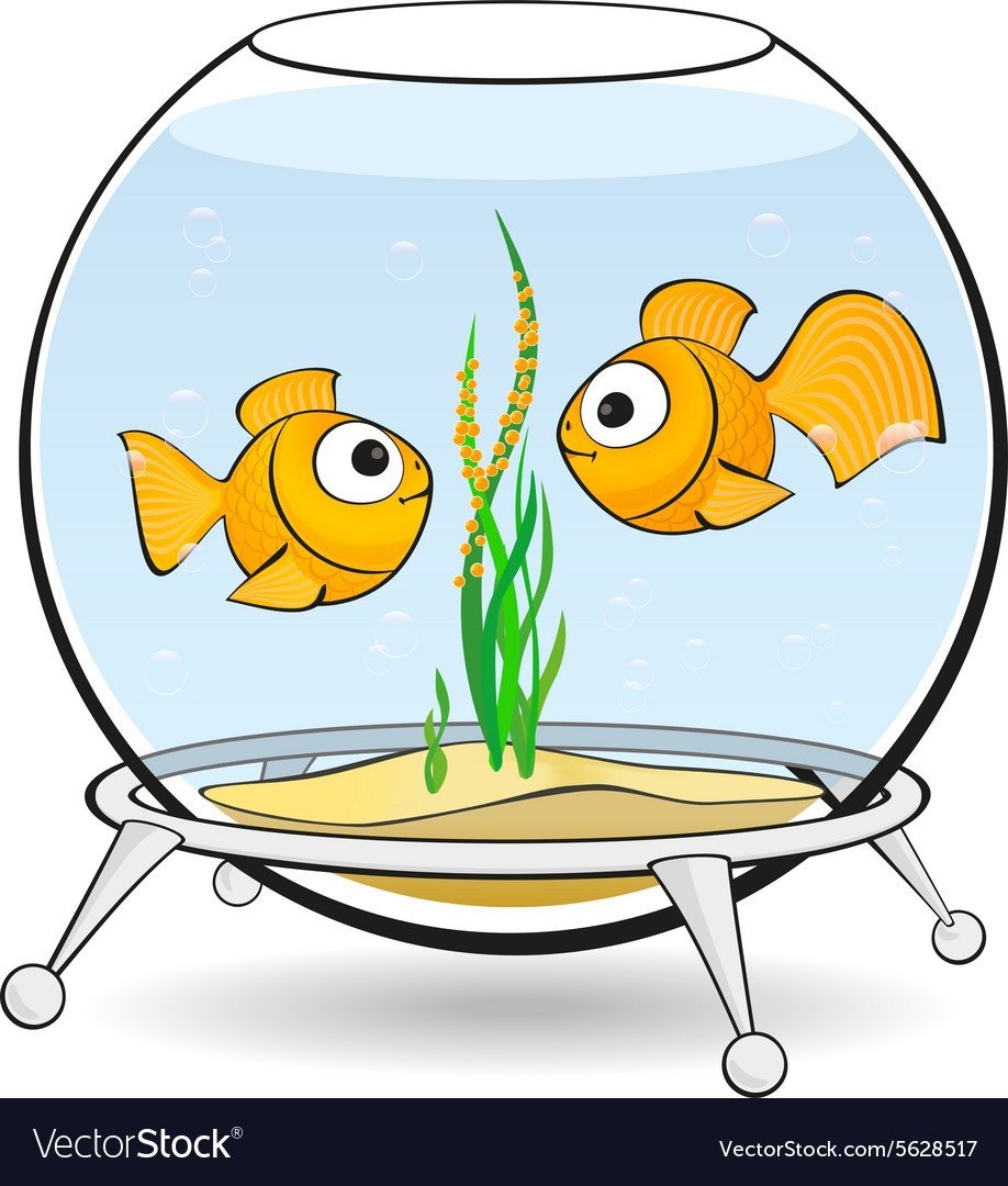 Круглый аквариум в интерьере