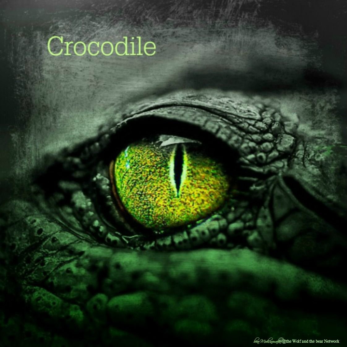 Крокодил с зелеными глазами