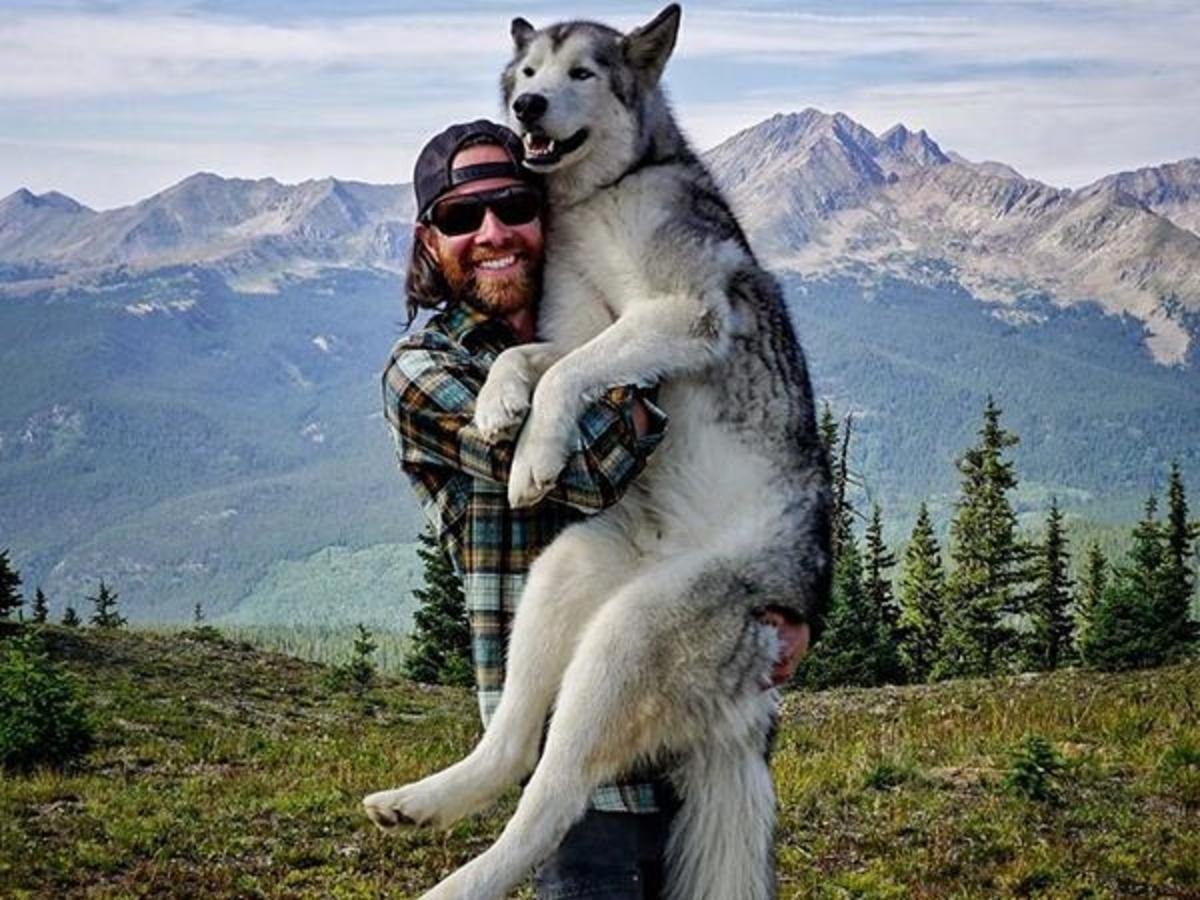 Путешественник с собакой в горах