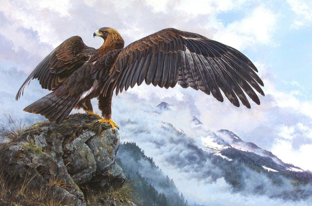 Орлиное гнездо Орел