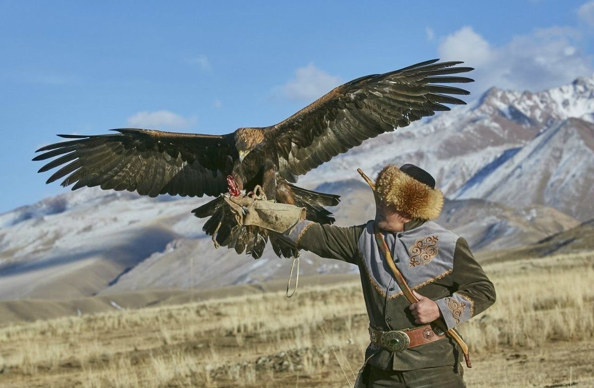 Беркут Орел Киргизия