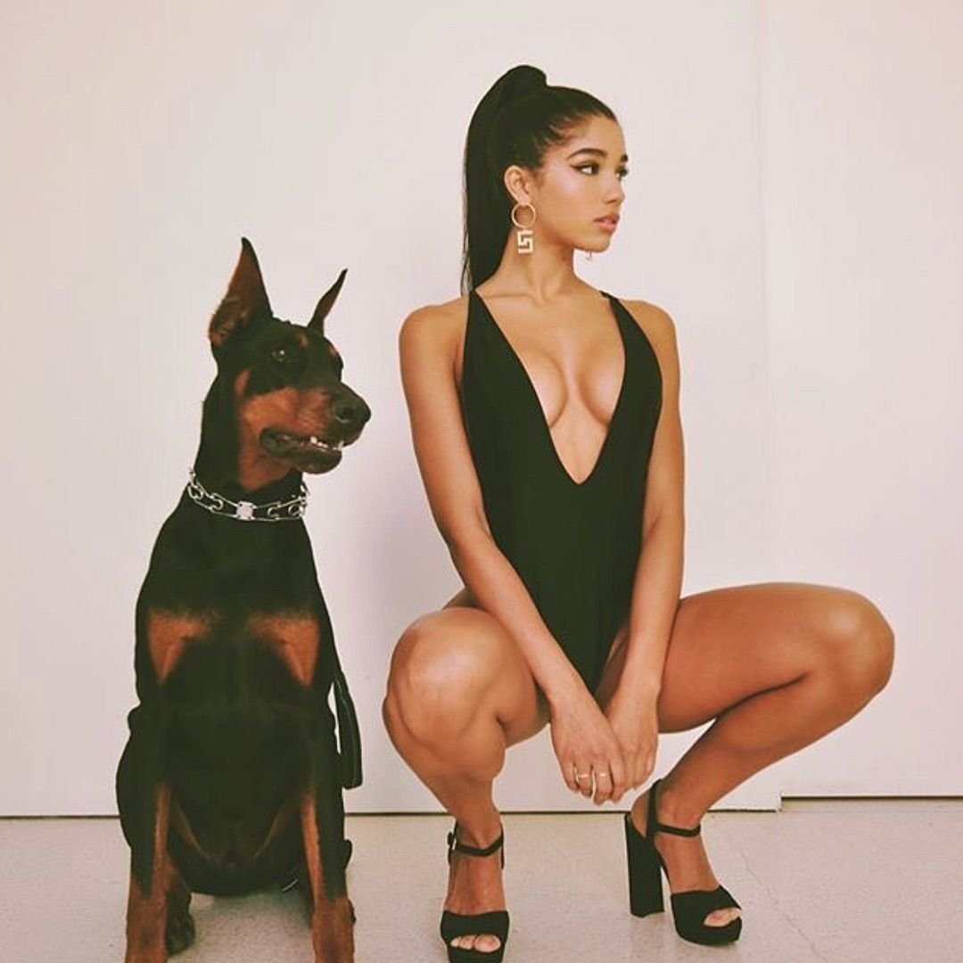 Доберман некупированный