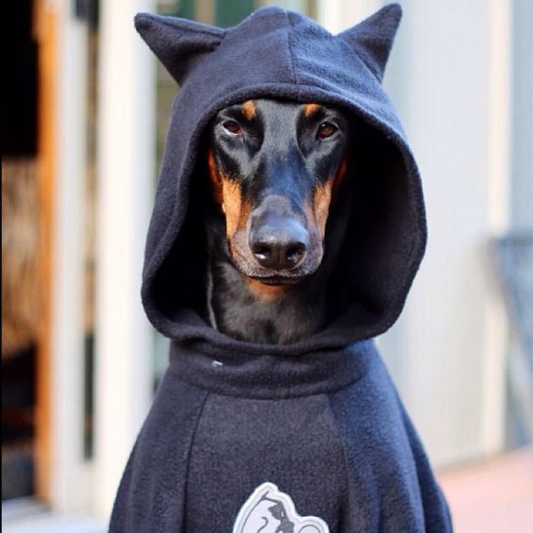 Болен трапом Yung Siva, 044 Rose