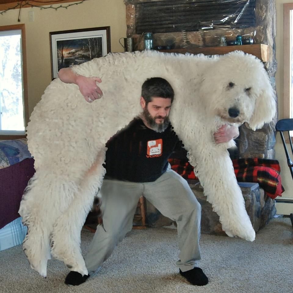 Немецкий дог по кличке гигантский Джордж