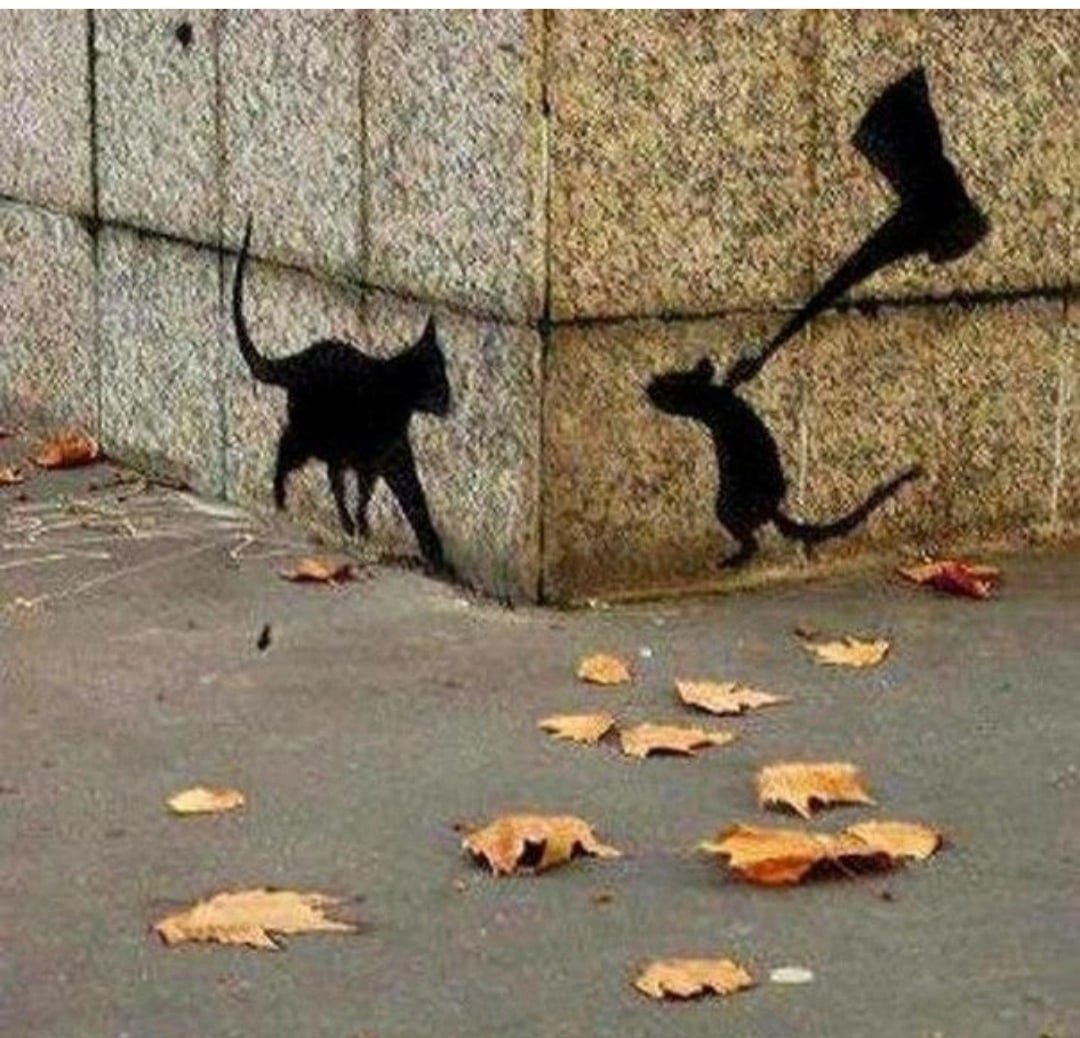 Страшная черная кошка