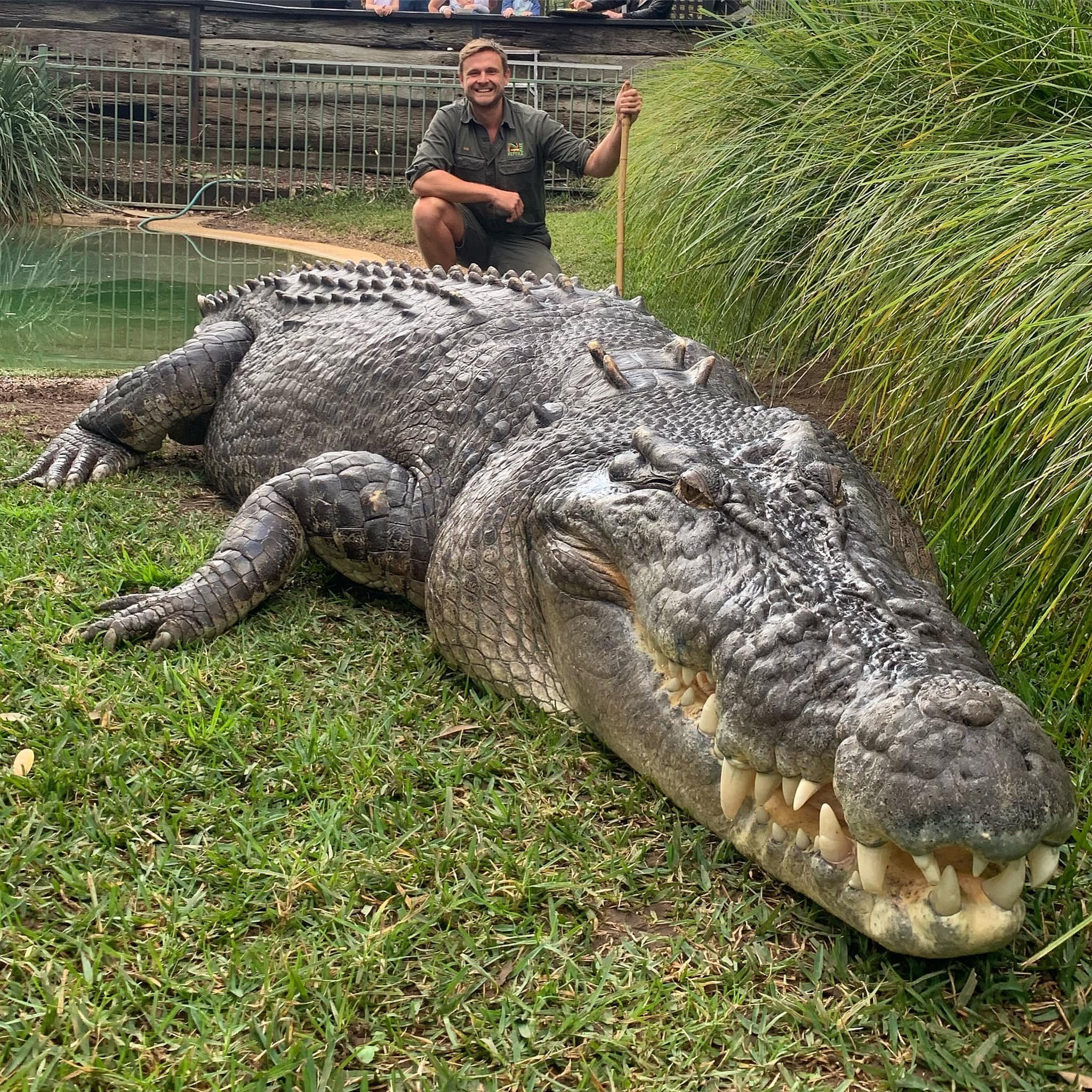 Самые большие пребольшие. Гребнистый крокодил. Морской гребнистый крокодил. Гребнистый крокодил огромный. Гребнистый крокодил Кассиус.