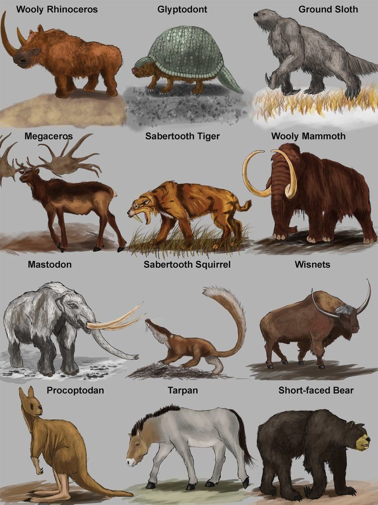 Вымершие доисторические животные