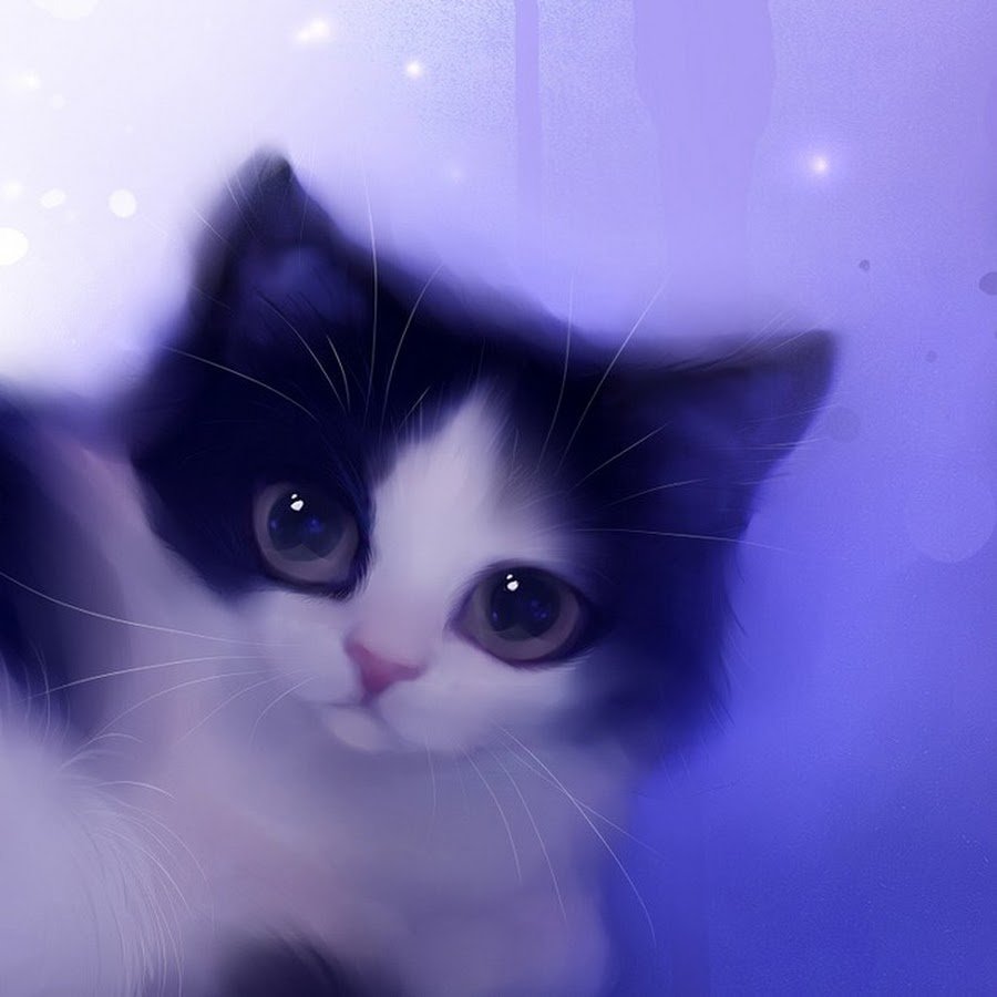 Котенок с фотоаппаратом