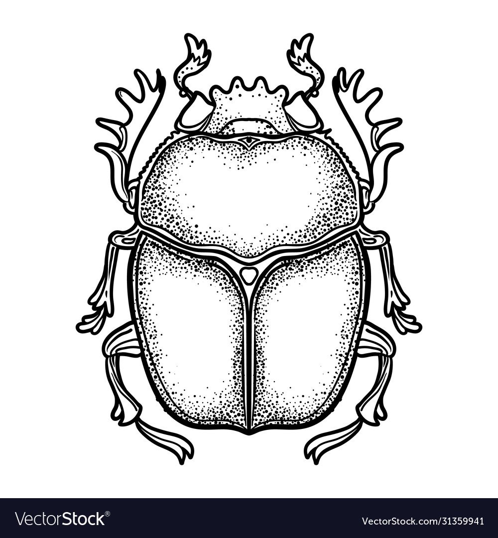 Жук картинка для детей