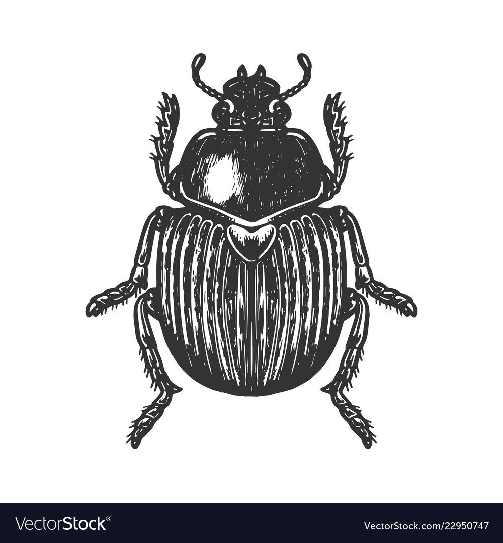 Жучок с рожками