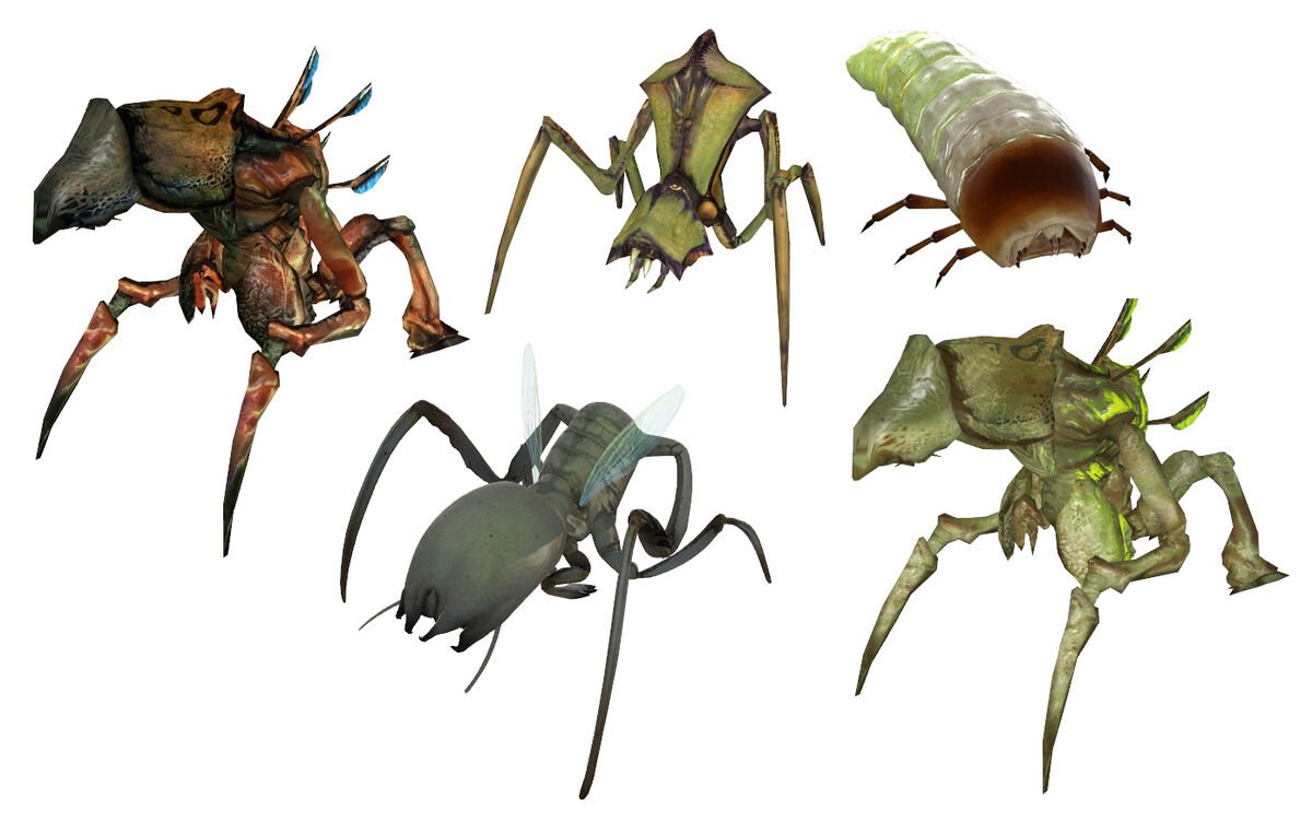 Муравьиный Лев Пятнокрылый (Distoleon tetragrammicus