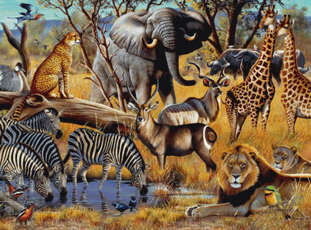 Множество животных