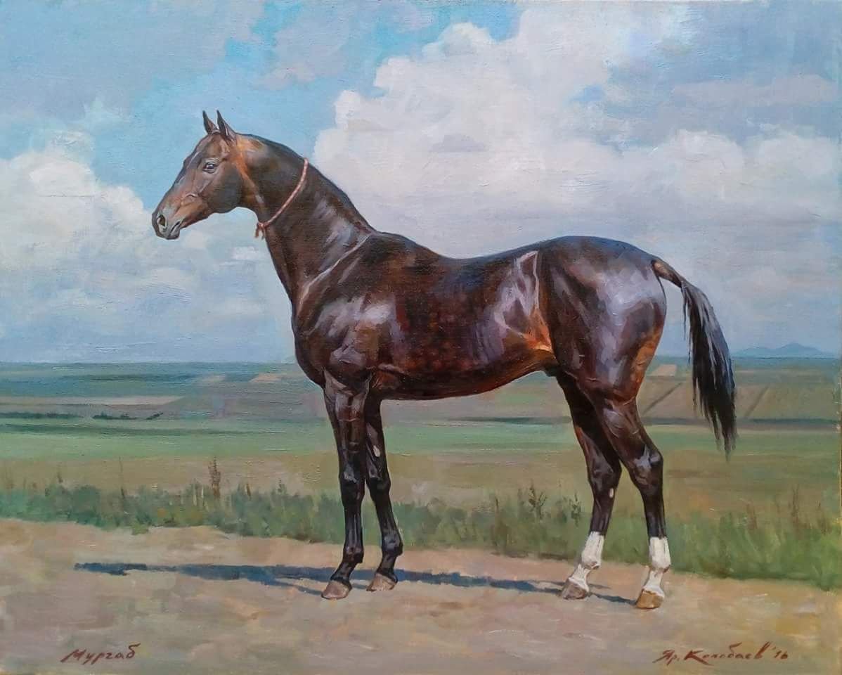 Неаполитанец порода лошади