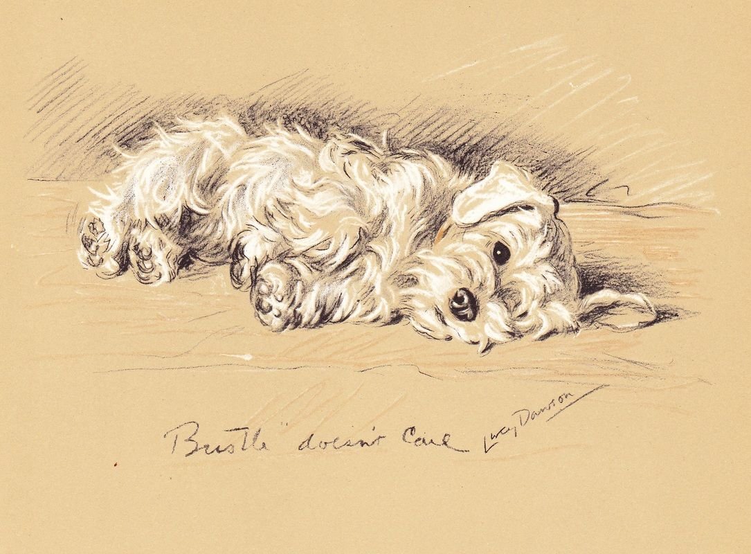 Силихем терьер трудности