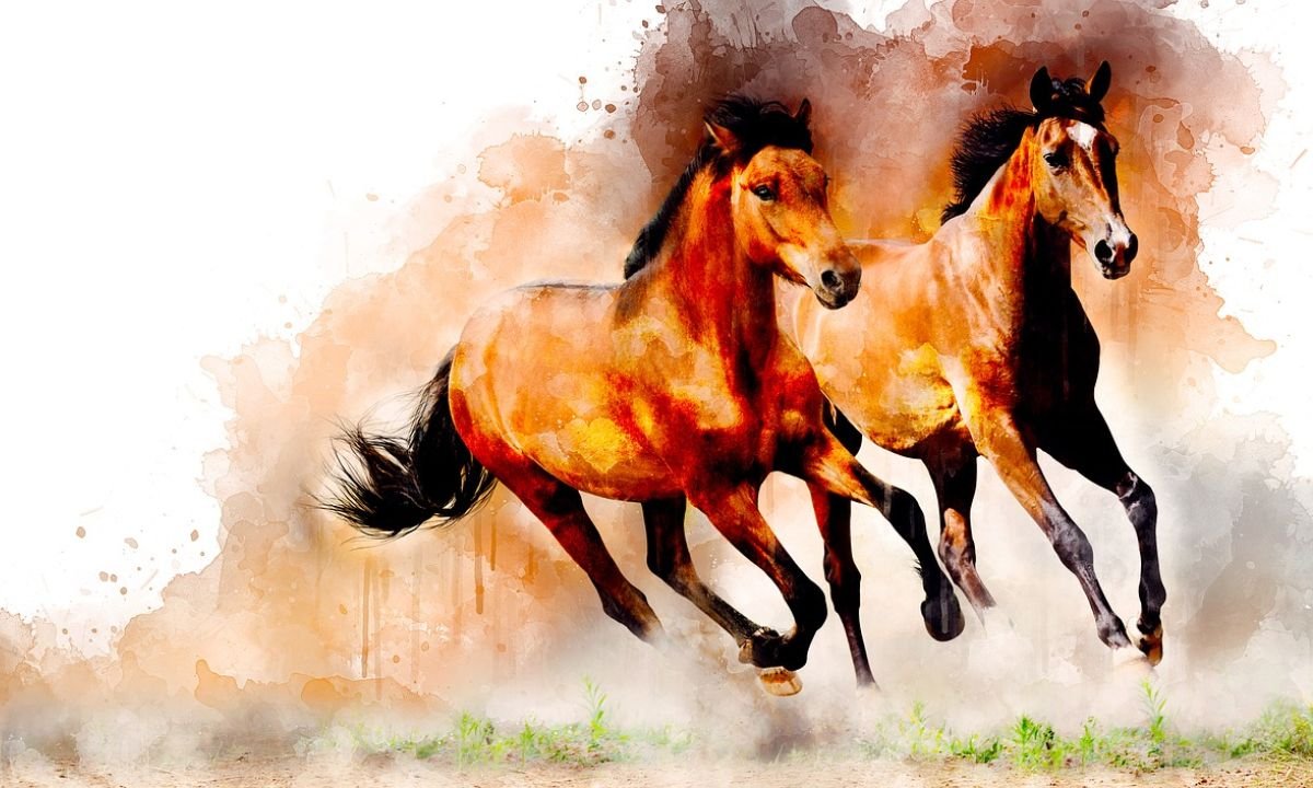 Лошадь и собака