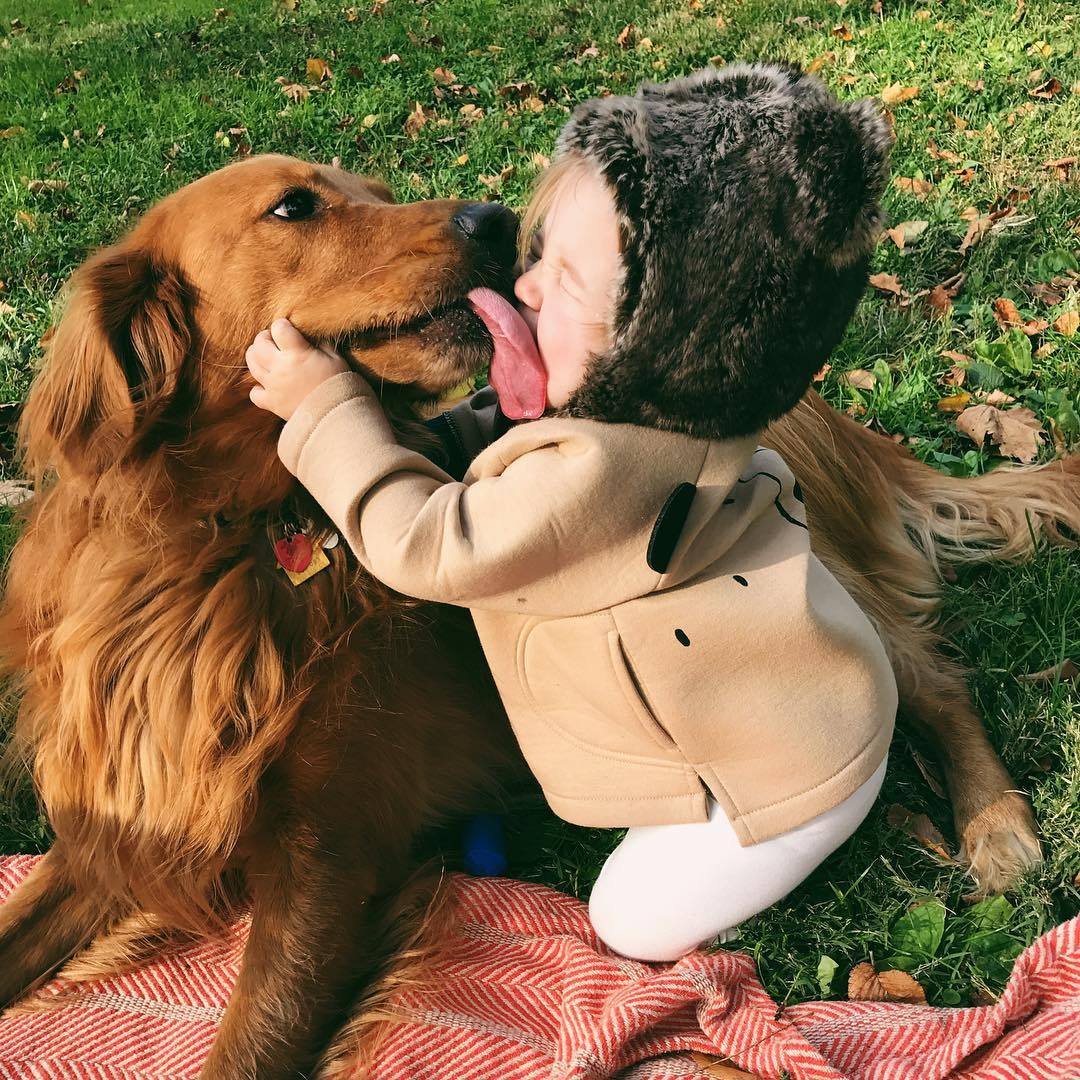 Собака для детей